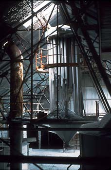 photography by Laura Nash