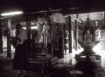 photography by Laura Nash