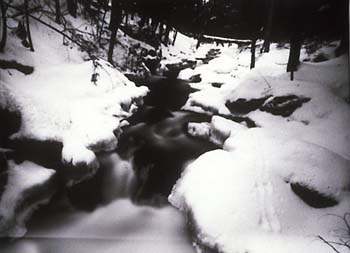 photography by Laura Nash