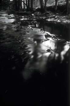 photography by Laura Nash