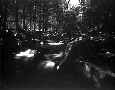 photography by Laura Nash