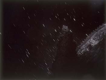 photography by Laura Nash