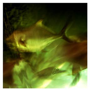 photography by Laura Nash