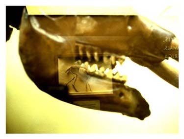 photography by Laura Nash