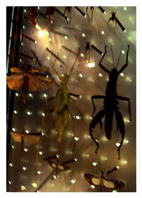 photography by Laura Nash