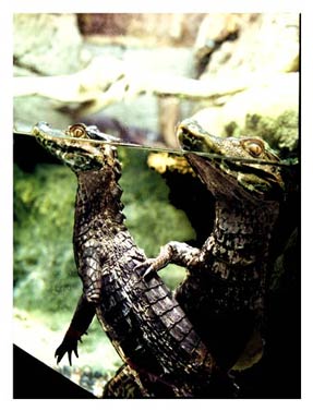 photography by Laura Nash