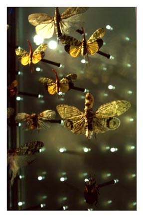 photography by Laura Nash