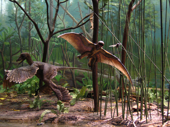 photography by Laura Nash