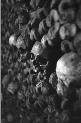 photography by Laura Nash