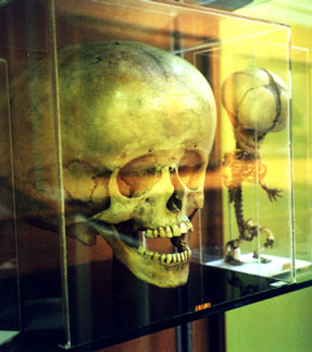 photography by Laura Nash