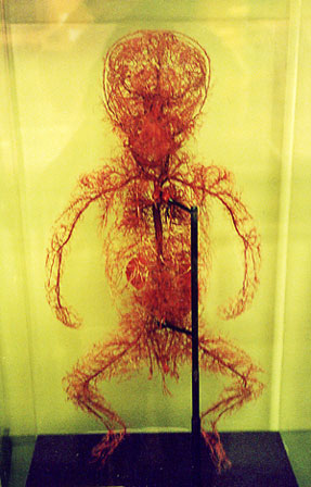 photography by Laura Nash