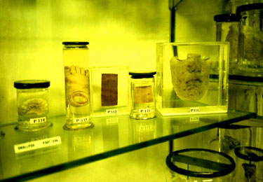 photography by Laura Nash