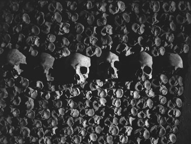 photography by Laura Nash