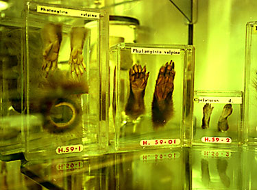 photography by Laura Nash