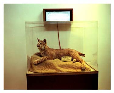 photography by Laura Nash