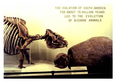 photography by Laura Nash