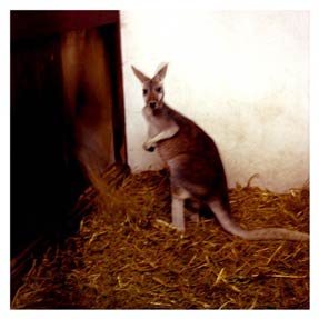 photography by Laura Nash