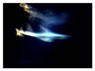 photography by Laura Nash