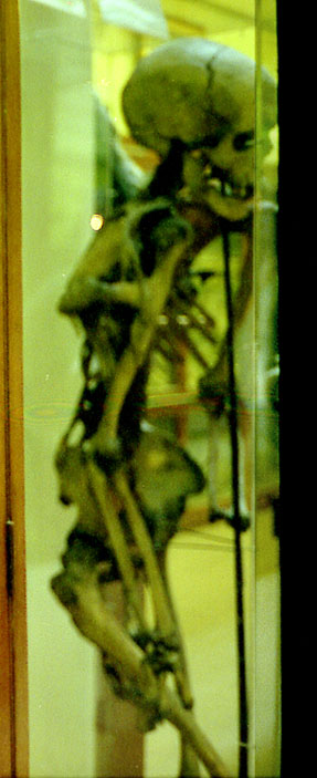 photography by Laura Nash