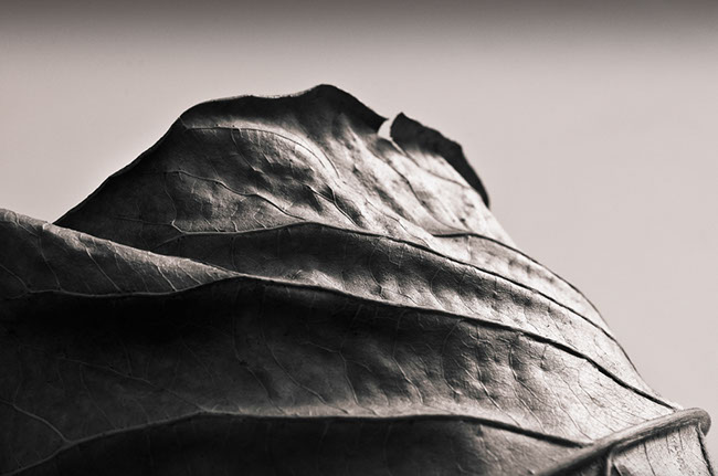 photography by Carlos Ocando