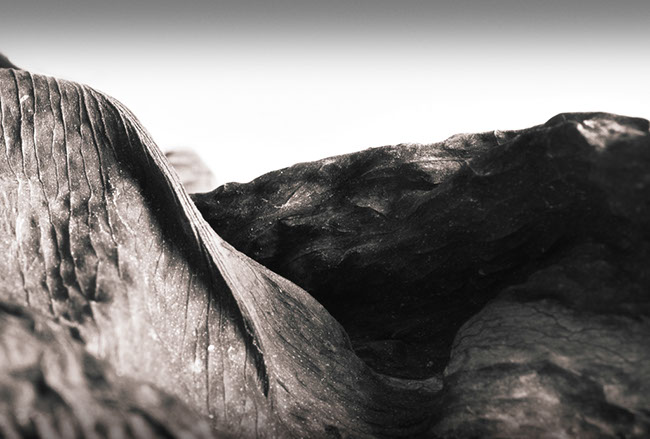 photography by Carlos Ocando
