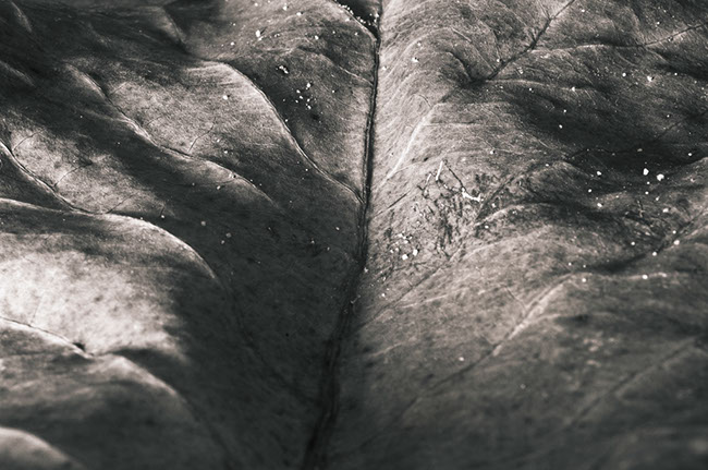photography by Carlos Ocando