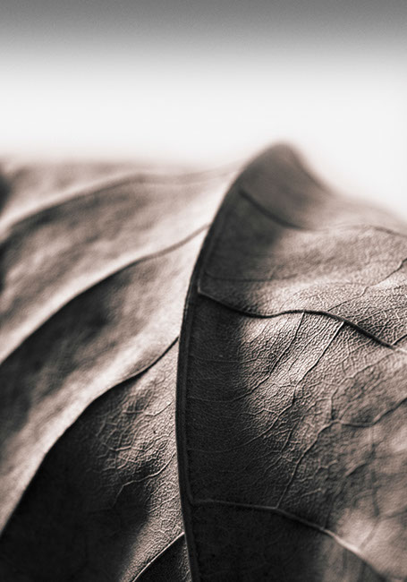 photography by Carlos Ocando