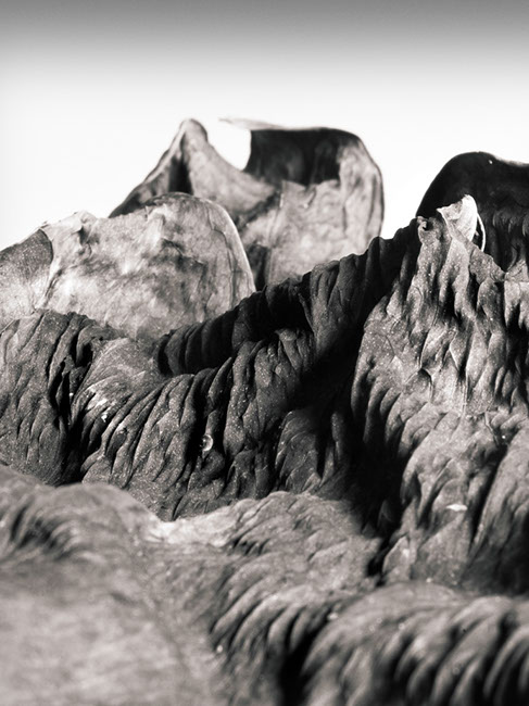photography by Carlos Ocando