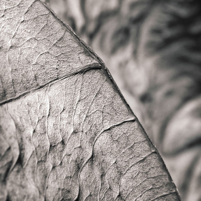 photography by Carlos Ocando
