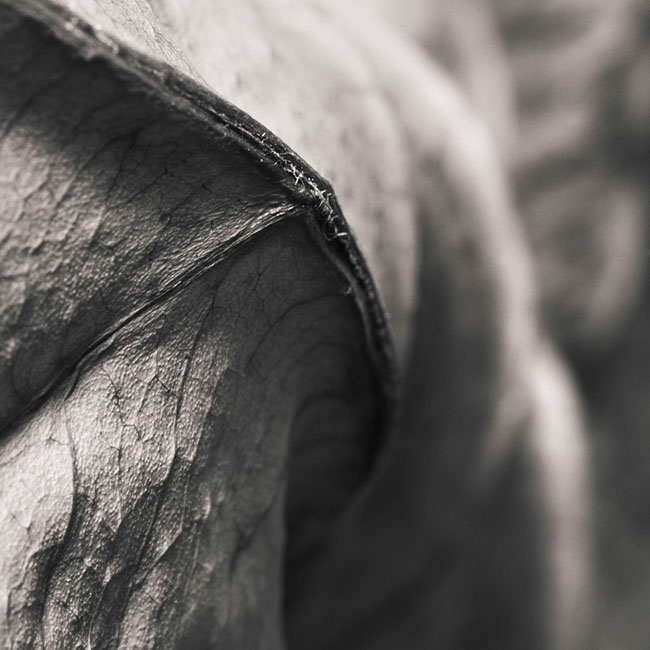 photography by Carlos Ocando