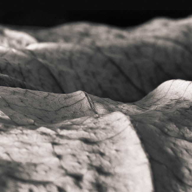 photography by Carlos Ocando