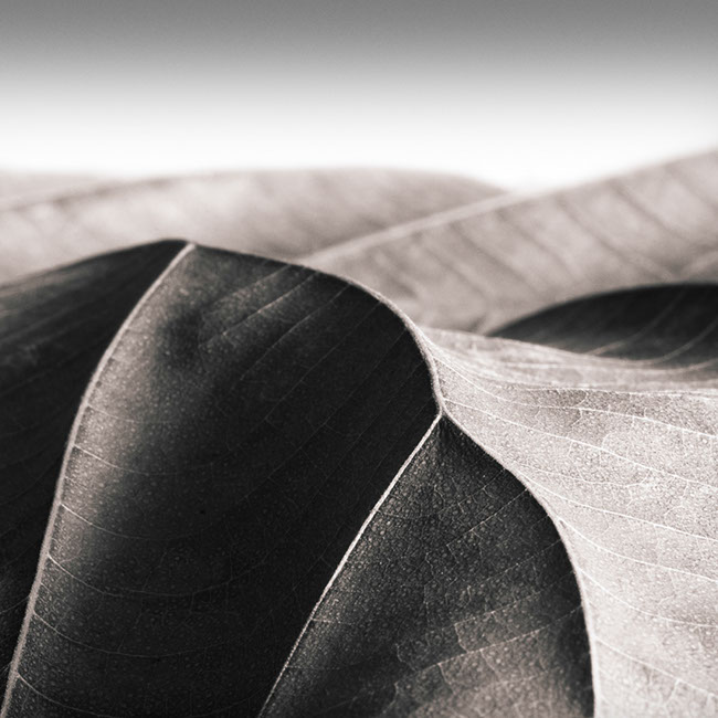 photography by Carlos Ocando