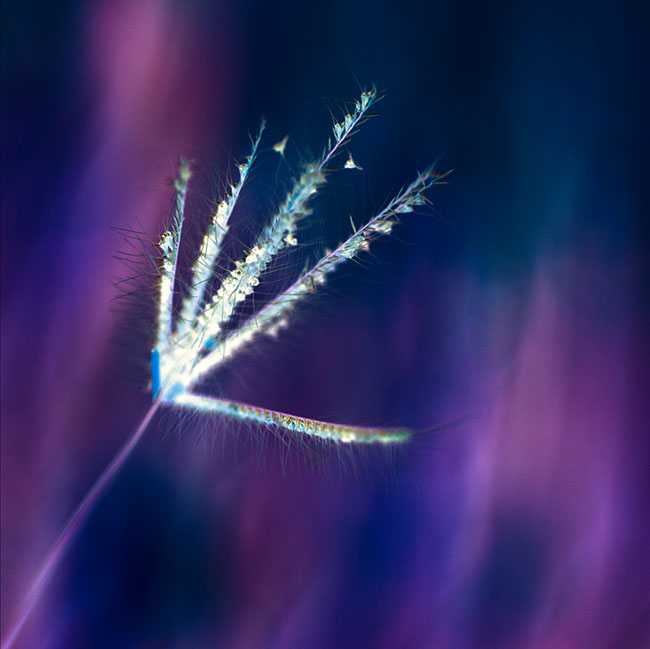 photography by Carlos Ocando