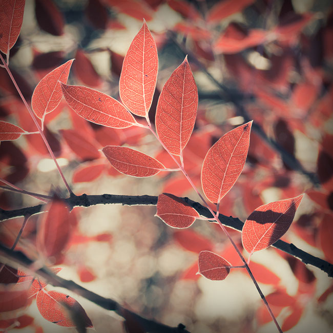 photography by Carlos Ocando