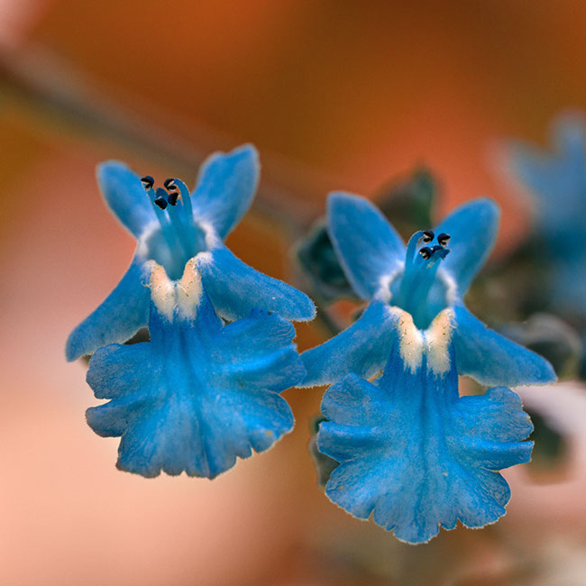 photography by Carlos Ocando