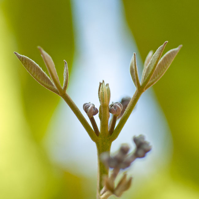 photography by Carlos Ocando