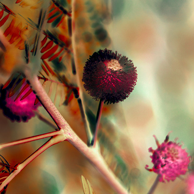 photography by Carlos Ocando