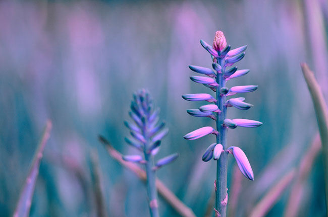 photography by Carlos Ocando