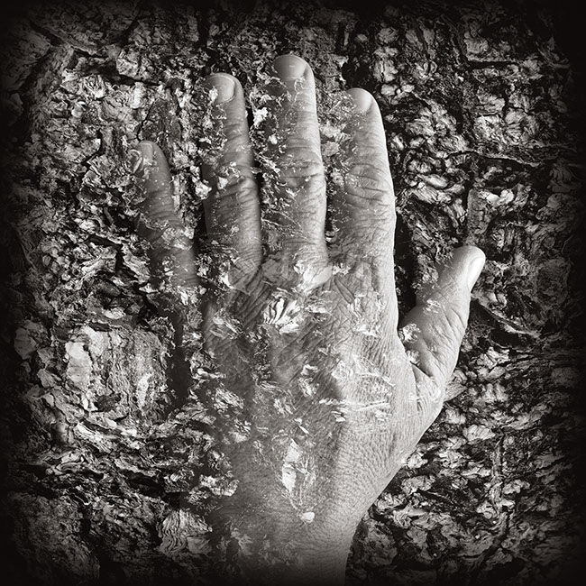 photography by Carlos Ocando
