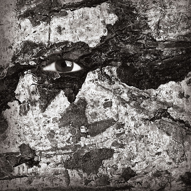 photography by Carlos Ocando