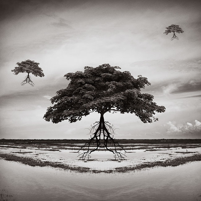 photography by Carlos Ocando