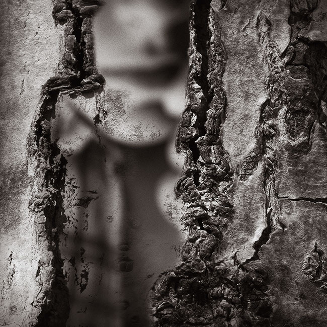 photography by Carlos Ocando