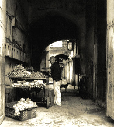 photography by M. Delos Reyes