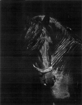 photography by Sheila Rock