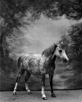photography by Sheila Rock