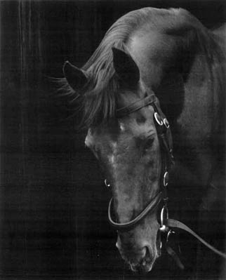 photography by Sheila Rock