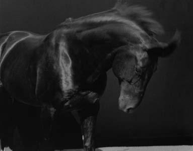 photography by Sheila Rock