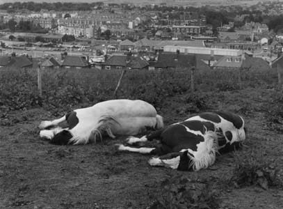 photography by Sheila Rock