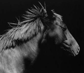 photography by Sheila Rock