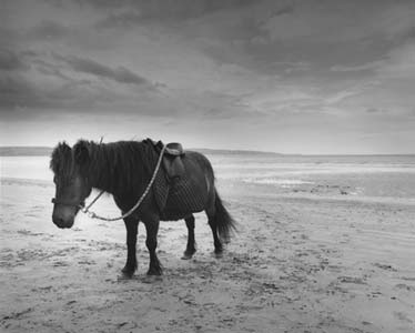 photography by Sheila Rock